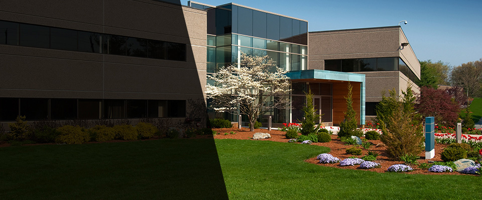 Petersburg Landscapers